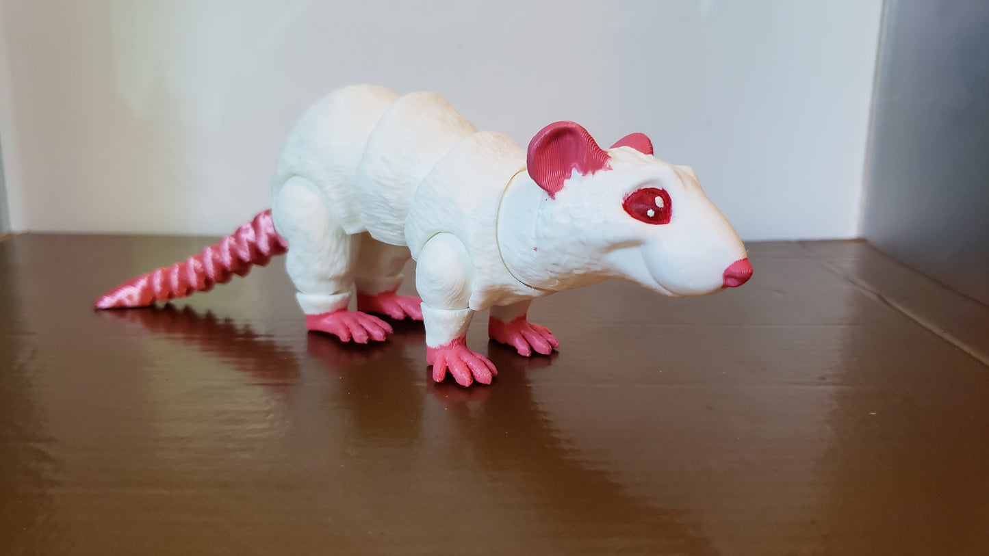 Rat