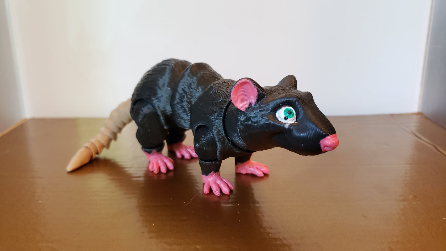 Rat