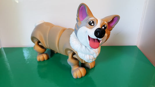 Corgi